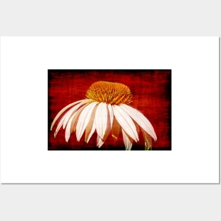 A Single Daisy On A Red Background Posters and Art